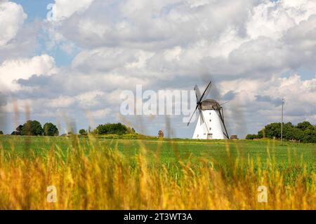 Schöne Seidla Windmühle, traditionelle Windmühle auf dem Land Estlands Stockfoto