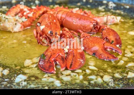 Hummer in Weißweinsauce 2 Stockfoto