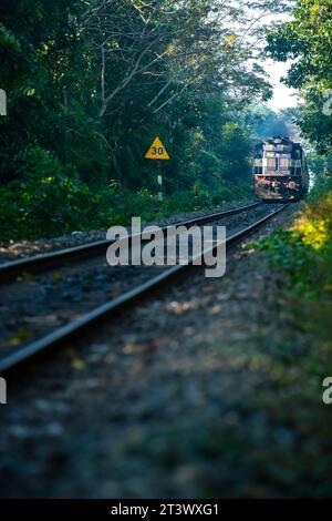 Ein Zug, der auf einer Eisenbahnstrecke durch ein dichtes Naturschutzgebiet in Jorhat, Assam, fährt. Die Bahnstrecke durchquert den Hoolongapar gibbon Wildl Stockfoto