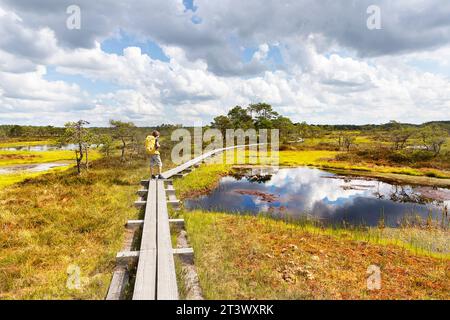 Touristenwanderer auf einem spektakulären Walkboard im Kakerdaja Moor, Wanderweg umgeben von kleinen Teichen an einem schönen sonnigen Sommertag in Estland Stockfoto