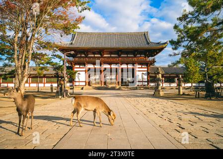 Mittleres Tor von todaiji, östlicher großer Tempel, in nara, japan Stockfoto