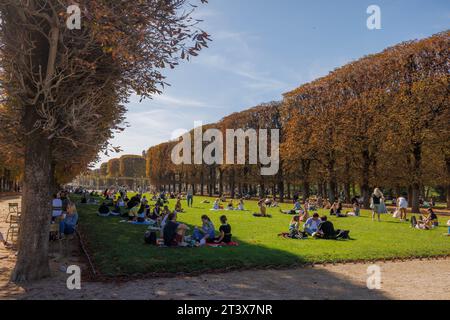 Junge Erwachsene entspannen in den Jardin du Luxembourg in Paris, Frankreich. Stockfoto