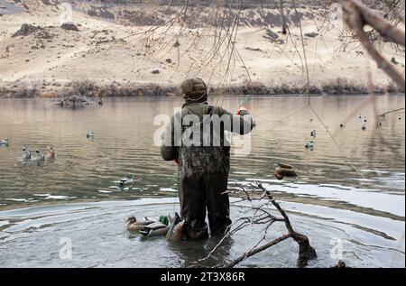 Hunter setzt Köder im Fluss aus, in Watvögel gekleidet bei Sonnenaufgang Stockfoto