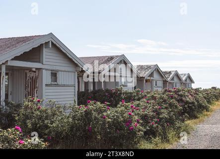 Holzhäuser an der Küste Norwegens Stockfoto