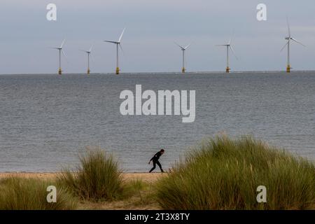 Scroby Sands wind Farm Great Yarmouth Norfolk UK Stockfoto