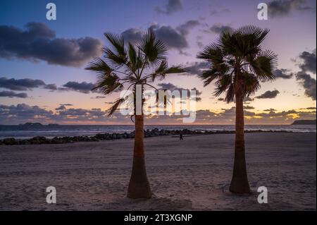 Zwei Palmen an einem Strand in Südkalifornien bei Sonnenaufgang. Der Strand ist in San Diego Stockfoto