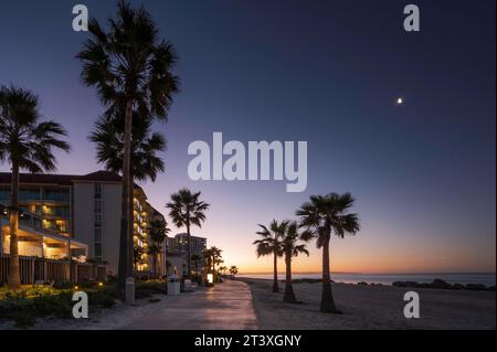 Sonnenaufgang am Coronado Beach, San Diego. Der Himmel verwandelt sich von violett zu orange, wenn die Sonne aufgeht und die Palmen am Ufer säumen. Stockfoto