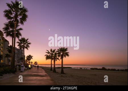 Sonnenaufgang am Coronado Beach, San Diego. Der Himmel verwandelt sich von violett zu orange, wenn die Sonne aufgeht und die Palmen am Ufer säumen. Stockfoto