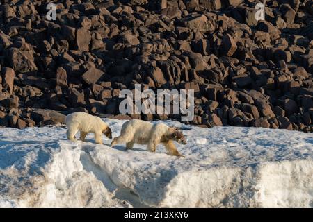 Van Otteroya Island, Svalbard Islands, Norwegen. Stockfoto