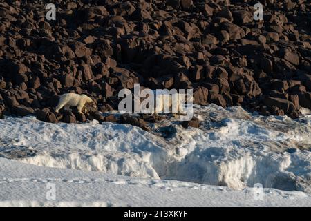 Van Otteroya Island, Svalbard Islands, Norwegen. Stockfoto