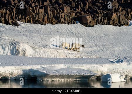 Van Otteroya Island, Svalbard Islands, Norwegen. Stockfoto