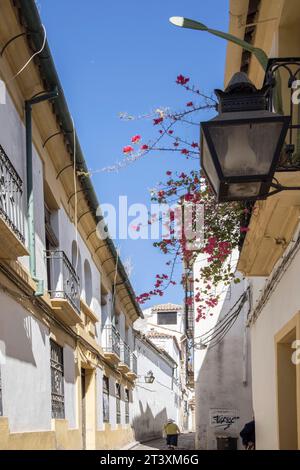 Einige der vielen engen Gassen im jüdischen Viertel cordoba andalusien spanien Stockfoto