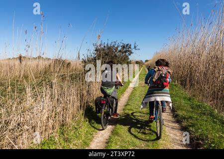 Parque Natural de La Albufera de Mallorca, Prat de Son Serra, Mallorca, Balearen, Spanien, Europa. Stockfoto