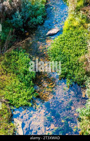 Kristallklares Wasser des Lebanza Baches, bevor er in den Pisuerga River fließt, während er durch das Dorf fließt. San Salvador de Cantamuda, La Pern Stockfoto