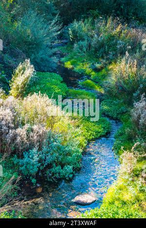 Kristallklares Wasser des Lebanza Baches, bevor er in den Pisuerga River fließt, während er durch das Dorf fließt. San Salvador de Cantamuda, La Pern Stockfoto