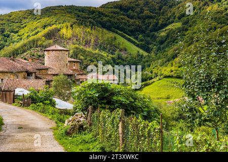 Das mittelalterliche Dorf Bandujo - Banduxu. Mittelalterliches Dorf in den Bergen. Bandujo, Proaza, Fürstentum Asturien, Spanien, Europa. Stockfoto