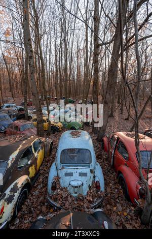 Deutsche Autos verlassen in PENNSLYVANIA DIESER GEHEIMNISVOLLE Friedhof ist mit über 200 Volkswagen Autos gefüllt, die über ein halbes Jahrhundert alt sind, einschließlich des Stockfoto