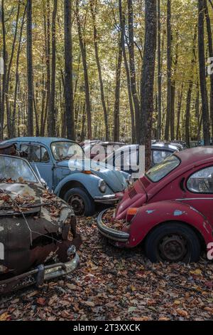 Vintage Volkswagen Modelle PENNSLYVANIA DIESER MYSTERIÖSE Friedhof ist mit über 200 Volkswagen Autos über ein halbes Jahrhundert alt, einschließlich Th Stockfoto