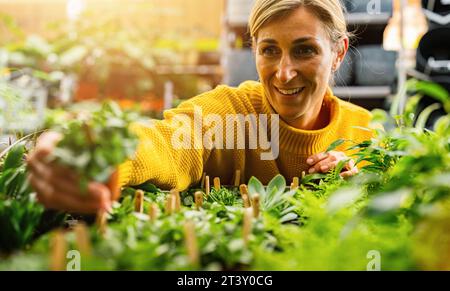 Die freudige Frau in einem hellgelben Pullover untersucht und wählt die Pflanzen in einem von üppigem Grün umgebenen Innengarten. Shopping in Stockfoto