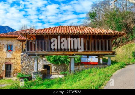 Vorderansicht eines erhöhten Lagers von Asturien (horreo). Das Gebäude ist eines der charakteristischsten Gebäude auf dem Land der Region. ( Stockfoto