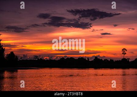 Fantastischer Panoramablick auf den tropischen Fluss und den Regenwald bei Sonnenuntergang Stockfoto