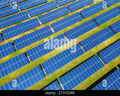 Luftaufnahme der Solarkraftwerksreihen auf dem grünen Gras. Betrieb, der saubere elektrische Energie aus erneuerbaren Ressourcen erzeugt. Stockfoto