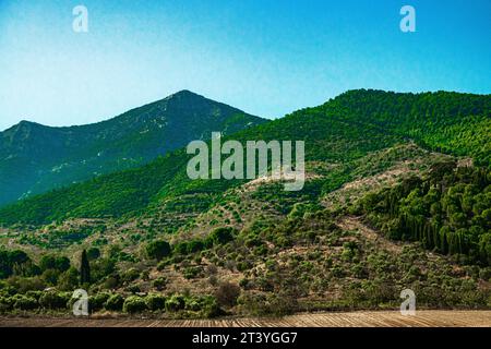 Blick auf die Berge und die Macchia über die Felder. Stockfoto