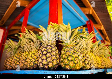 Nahaufnahme der Reifen gelben Ananas auf der farbenfrohen Theke eines Obstladens im tropischen Land. Frischer Saft und Vitamine Stockfoto