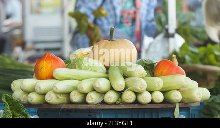 Riesige Mengen Gemüse, die an einem Bauernstand auf einem Straßenmarkt im Zentrum von Prag ausgestellt werden, Mais, Kohl, Kürbisse, Grünkohl und andere. Stockfoto
