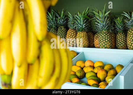 Ein verschwommener Zweig frischer, hellgelber Bananen hängt vor dem Hintergrund eines Obstladens mit tropischen Früchten, Mango und Ananas. Stockfoto