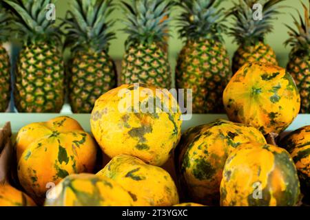 Reife große Früchte von saftiger Papaya und eine Reihe Ananas auf dem Hintergrund auf der Theke eines tropischen Obst-Ladens Stockfoto