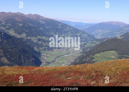 Weite Sicht vom Filzenkogel tief ins Zillertal mit wunderschönen rostroten Heidelbeerbüschen im Vordergrund Stockfoto