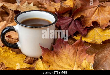 Tasse Kaffee auf Hintergrund gelber Ahornblätter Stockfoto