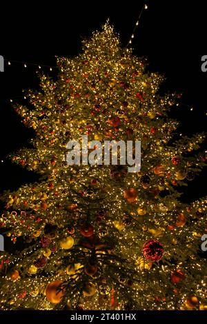 Niedriger Winkel des prachtvoll verzierten echten, hohen Weihnachtsbaums mit roten und goldenen Kugeln oder Ornamenten und leuchtend gelben Lichtern auf Schwarz Stockfoto