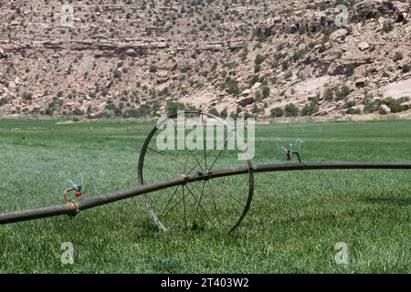 Alte, antike Radsprenger für die Bewässerung in der grünen Grasfarm-Plantage in der Wüste von Colorado Stockfoto