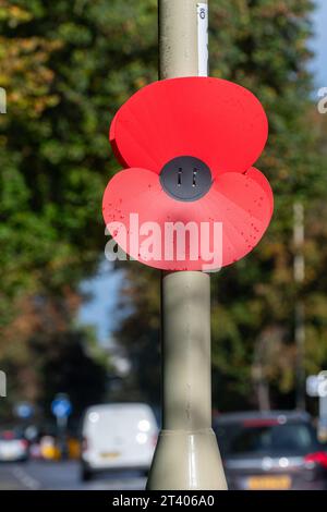 Mohndekoration am Gedenktag, Gedenktag des Waffenstillstands, Herbst 2023, Farnborough, Hampshire, England, Großbritannien Stockfoto