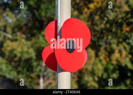 Mohndekoration am Gedenktag, Gedenktag des Waffenstillstands, Herbst 2023, Farnborough, Hampshire, England, Großbritannien Stockfoto