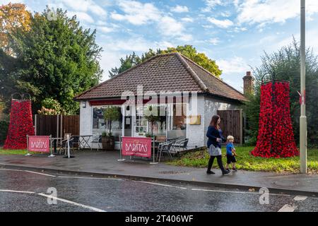 Dekorationen zum Gedenktag, für Mohntag, Herbst 2023, Mohnkaskade im Dorf Hook in Hampshire, England, Großbritannien Stockfoto