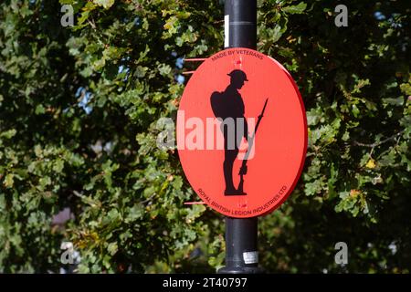 Gedenktag (Mohntag) Dekoration auf Lampenpfosten, Gedenktag des Waffenstillstands, Herbst 2023, Hartley Wintney, England, UK Stockfoto