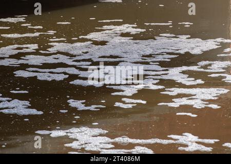 Taplow, Großbritannien. Oktober 2023. Heute gab es eine große Menge weißen Schaum auf dem Jubilee River in Taplow, Buckinghamshire. Der Jubilee River ist ein von Menschenhand geschaffenes Hochwasserschutzsystem, das von der Umweltbehörde verwaltet wird und bei starkem Regen überschüssiges Wasser aufnimmt und so dazu beiträgt, Windsor, Maidenhead und Dorney vor Überschwemmungen zu schützen. Pflanzenschutt, brauner Schlamm und Entengras haben sich hinter dem gelben Bummel am Wehr zurückgebildet, aber im eigentlichen Wehr am Jubliee River und danach gab es viel mehr weißen Schaum als sonst auf der Oberfläche des Flusses heute. Es ist möglich, dass dies der Fall ist Stockfoto