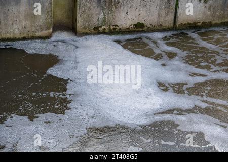 Taplow, Großbritannien. Oktober 2023. Heute gab es eine große Menge weißen Schaum auf dem Jubilee River in Taplow, Buckinghamshire. Der Jubilee River ist ein von Menschenhand geschaffenes Hochwasserschutzsystem, das von der Umweltbehörde verwaltet wird und bei starkem Regen überschüssiges Wasser aufnimmt und so dazu beiträgt, Windsor, Maidenhead und Dorney vor Überschwemmungen zu schützen. Pflanzenschutt, brauner Schlamm und Entengras haben sich hinter dem gelben Bummel am Wehr zurückgebildet, aber im eigentlichen Wehr am Jubliee River und danach gab es viel mehr weißen Schaum als sonst auf der Oberfläche des Flusses heute. Es ist möglich, dass dies der Fall ist Stockfoto