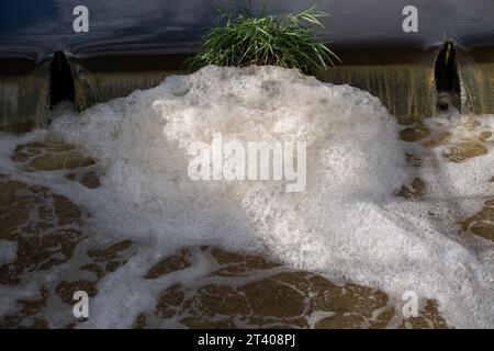 Taplow, Großbritannien. Oktober 2023. Heute gab es eine große Menge weißen Schaum auf dem Jubilee River in Taplow, Buckinghamshire. Der Jubilee River ist ein von Menschenhand geschaffenes Hochwasserschutzsystem, das von der Umweltbehörde verwaltet wird und bei starkem Regen überschüssiges Wasser aufnimmt und so dazu beiträgt, Windsor, Maidenhead und Dorney vor Überschwemmungen zu schützen. Pflanzenschutt, brauner Schlamm und Entengras haben sich hinter dem gelben Bummel am Wehr zurückgebildet, aber im eigentlichen Wehr am Jubliee River und danach gab es viel mehr weißen Schaum als sonst auf der Oberfläche des Flusses heute. Es ist möglich, dass dies der Fall ist Stockfoto