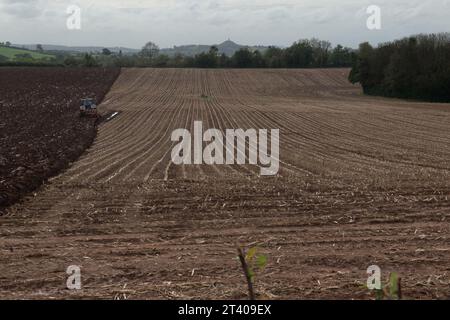 Er pflügt ein Feld am Rande von Wells, Somerset, England Stockfoto