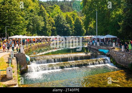 12 08 2023 Bela Palanka, Serbien, die „Tage von Banice“ ist ein Gastro-touristisches Ereignis mit wettbewerbsfähigem Charakter und fördert die Bräuche, Kultur und Traditionen Stockfoto