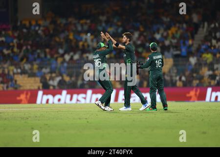 Chennai, Tamil Nadu, INDIEN. Oktober 2023. ICC Männer Cricket World Cup INDIEN 2023: . PAKISTAN gegen SÜDAFRIKA : 26. SPIEL DES ICC im MAC Stadium Chennai. (Kreditbild: © Seshadri Sukumar/ZUMA Press Wire) NUR REDAKTIONELLE VERWENDUNG! Nicht für kommerzielle ZWECKE! Stockfoto