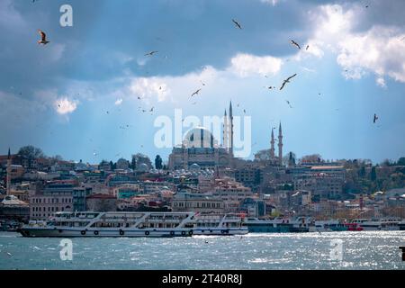 Blick auf Istanbul. Suleymaniye-Moschee und Boote mit Möwen und teilweise bewölktem Himmel. Reise nach Istanbul Konzeptfoto. Stockfoto