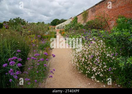 Mischanpflanzung bei RHS Bridgewater, Worsley, Manchester, England. Violette Verbene Bonariensis und weiße Gaura Lindheimeri im Vordergrund. Stockfoto