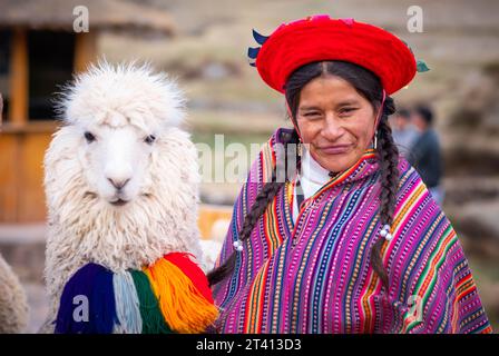 Cusco, Peru - 13. Oktober 2018: Ansicht einer Frau in bunter Nationalkleidung und weißem zotteligen lama mit Dekoration in Sacsayhuaman Stockfoto