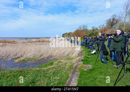 Vogelbeobachter am Ufer der Dee-Mündung bei Flut im Frühling. In Parkgate, in der Nähe von Neston, Wirral, Cheshire, Großbritannien. Stockfoto