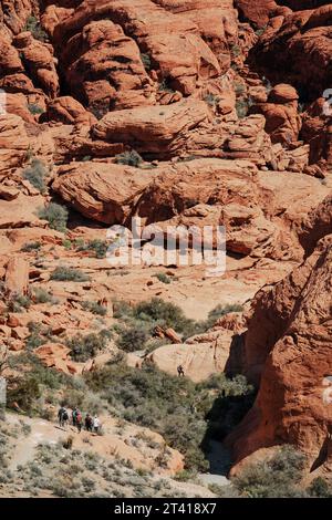 Kletterer und Wanderer im Red Rock Canyon National Conservation Area in Nevada, USA. Stockfoto